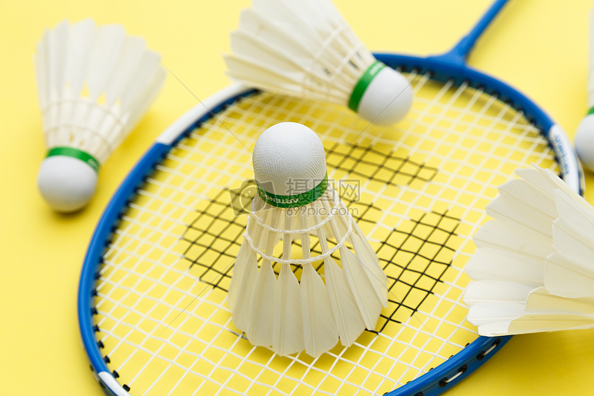 也为这项赛 也为这项赛