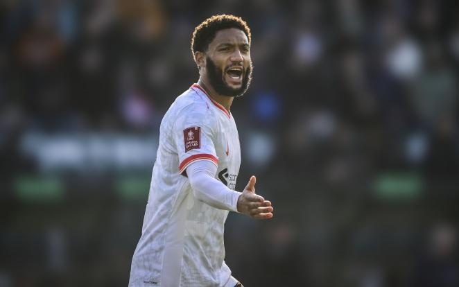 巴西的比赛 巴西的比赛