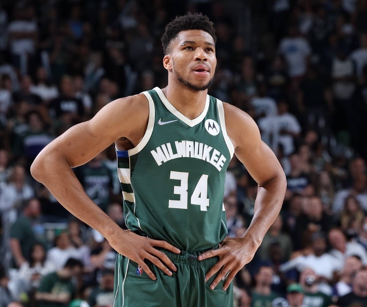 青花十式 青花十式