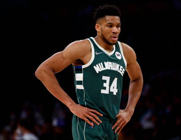 活动循环 活动循环